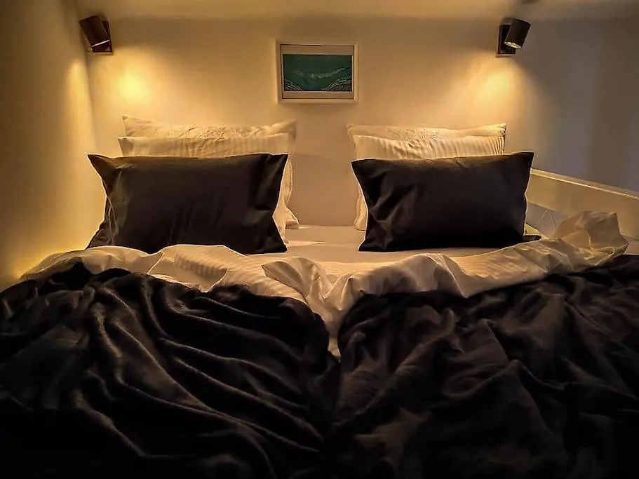 Loft Bed Studio With Free Parking, 2 Bikes! Self Check In, Wi-Fi, Ac 풀라 아파트
